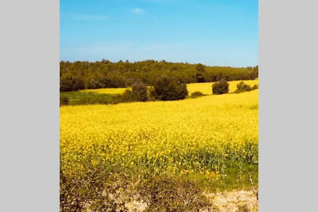 Apartamento l'Era de Can Viñas Albóns